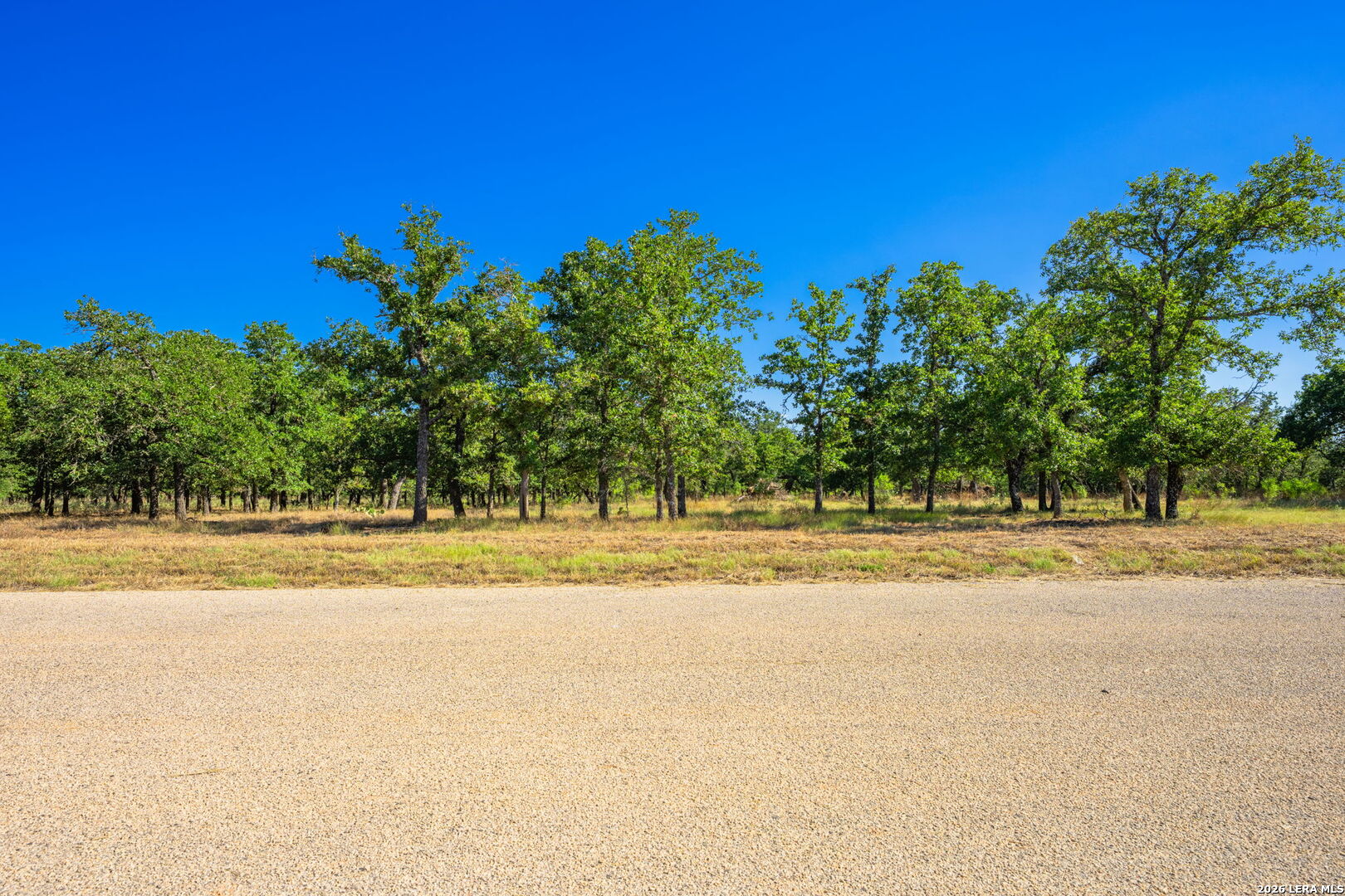 560 Mystic Oaks Trail Fredericksburg TX 78624
