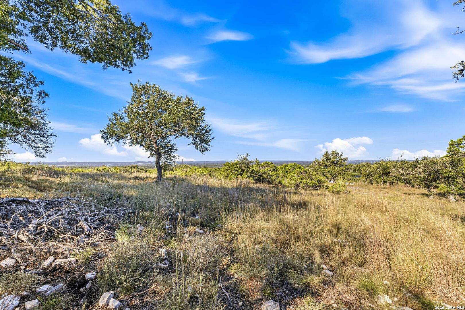 593 Rosemary Ridge Drive Bulverde TX 78163