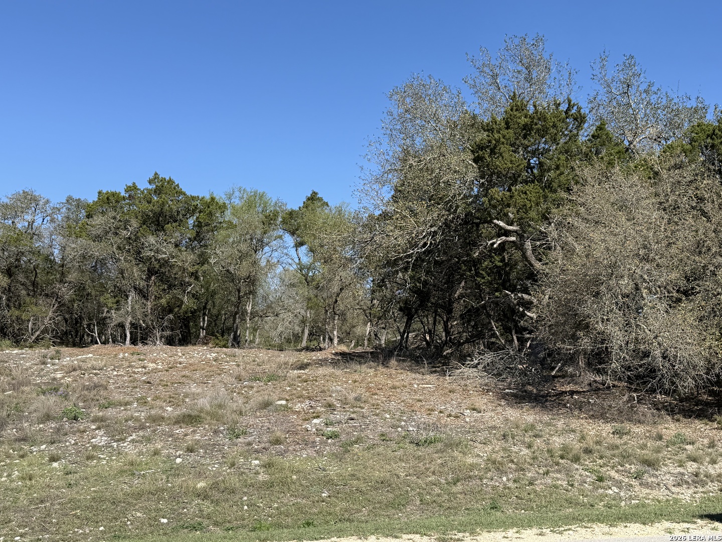 126 Silverado New Braunfels TX 78132