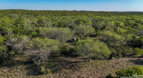 000 County Line Road # 120 Beeville TX 78102