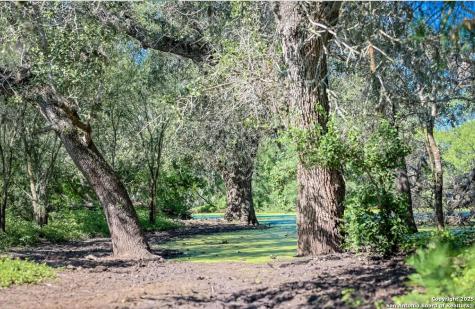 000 County Line Road # 120 Beeville TX 78102