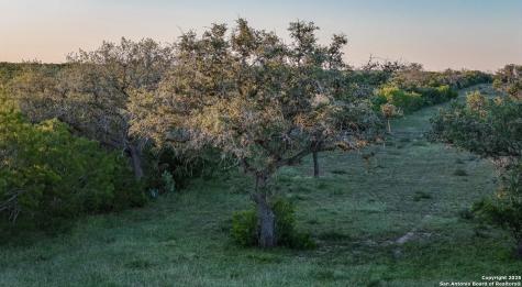000 County Line Road # 120 Beeville TX 78102