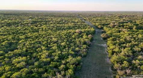 000 County Line Road # 120 Beeville TX 78102
