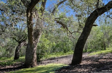 000 County Line Road # 120 Beeville TX 78102