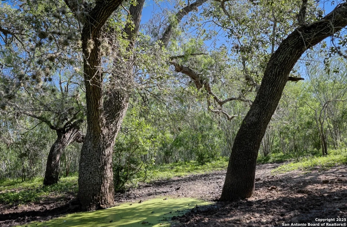 000 County Line Road # 120 Beeville TX 78102