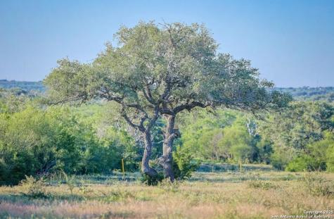 000 County Line Road # 120 Beeville TX 78102
