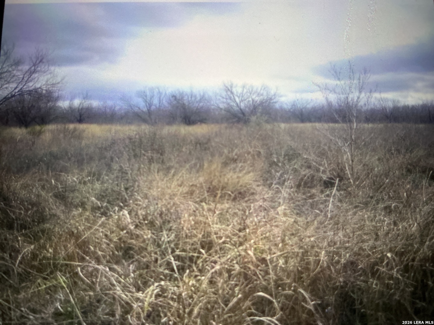 332 Private Road 6632 Devine TX 78016