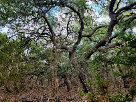 2066 Stallion Springs Drive Fischer TX 78623