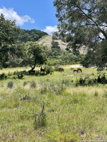 Lot 58 Red Stag Lane Pipe Creek TX 78063