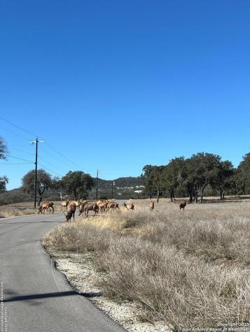Lot 58 Red Stag Lane Pipe Creek TX 78063