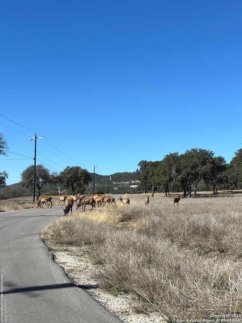 Lot 58 Red Stag Lane Pipe Creek TX 78063