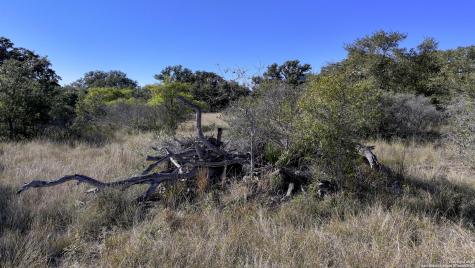 Lot 1 Sophie Drive Bandera TX 78003