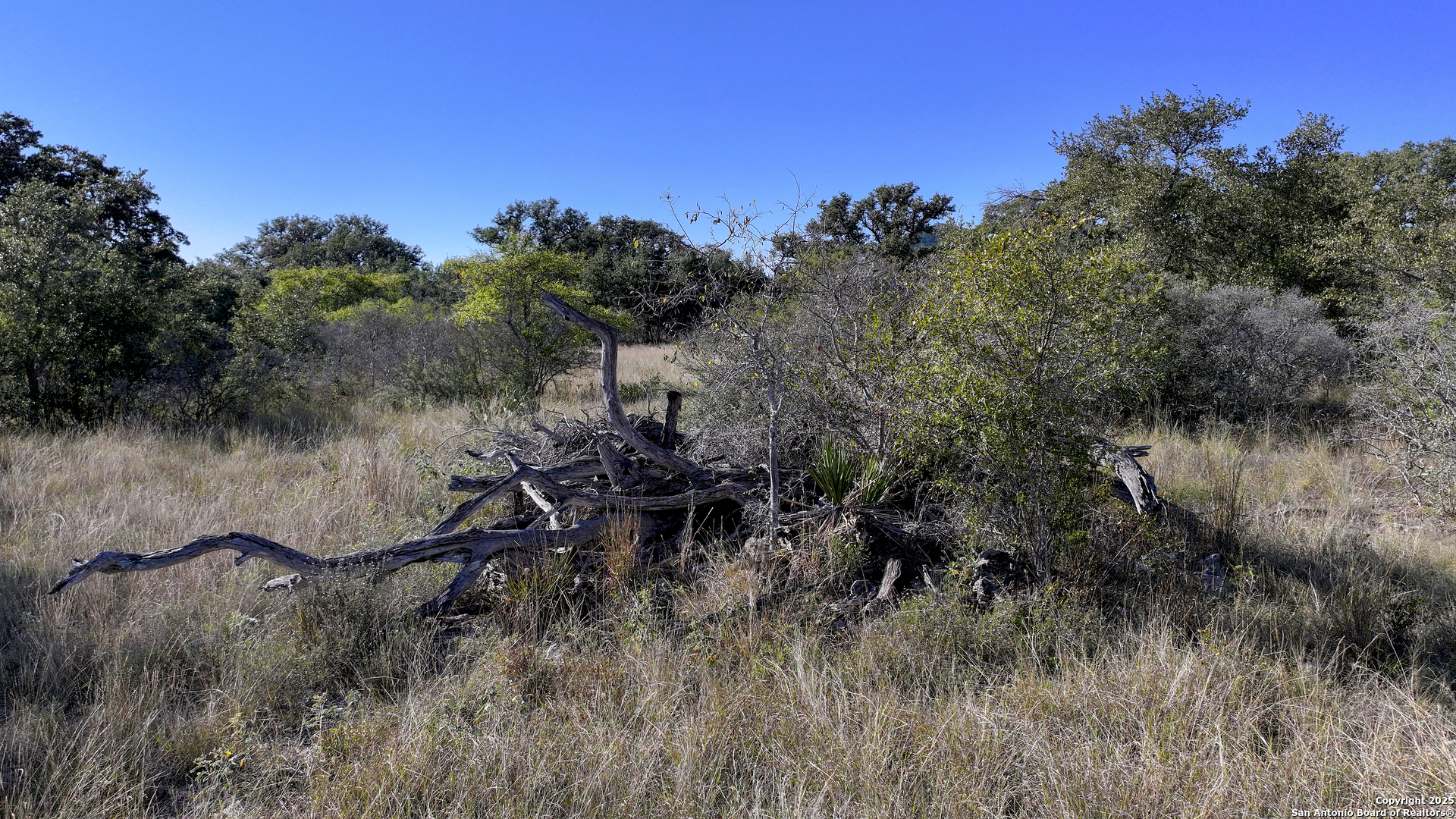 Lot 1 Sophie Drive Bandera TX 78003