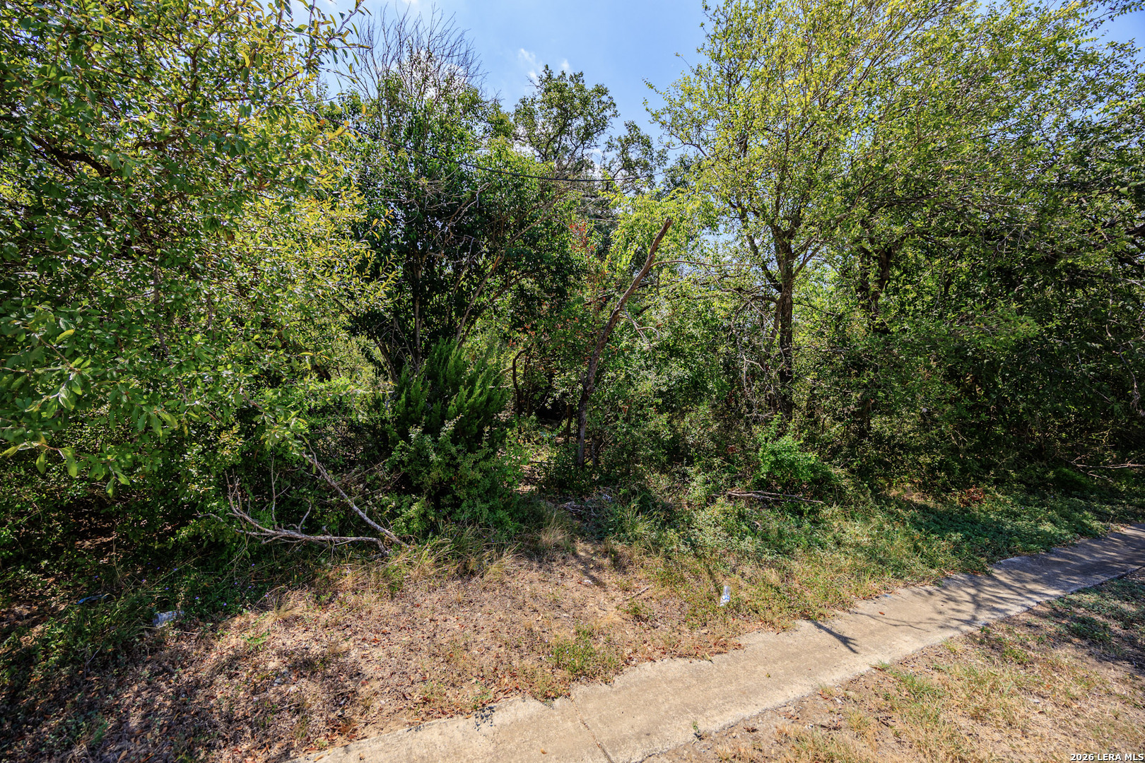 15405 Rhodius Lane Selma TX 78154