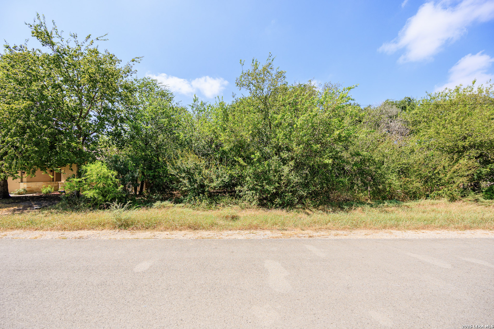 15405 Rhodius Lane Selma TX 78154