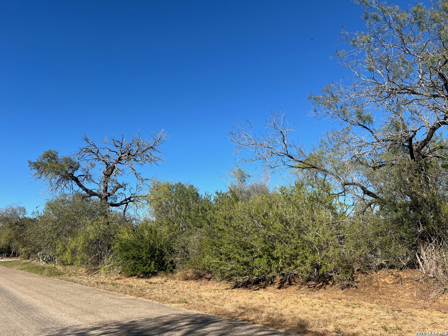 0 Red Barn Road Poteet TX 78065
