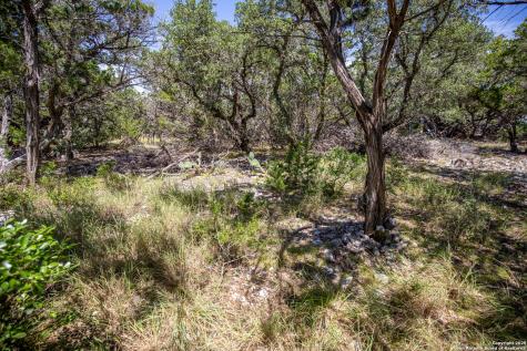 0 Lake View Trail Pipe Creek TX 78063