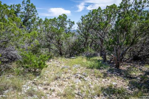 0 Lake View Trail Pipe Creek TX 78063
