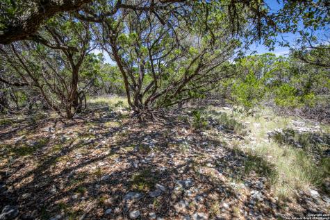 0 Lake View Trail Pipe Creek TX 78063
