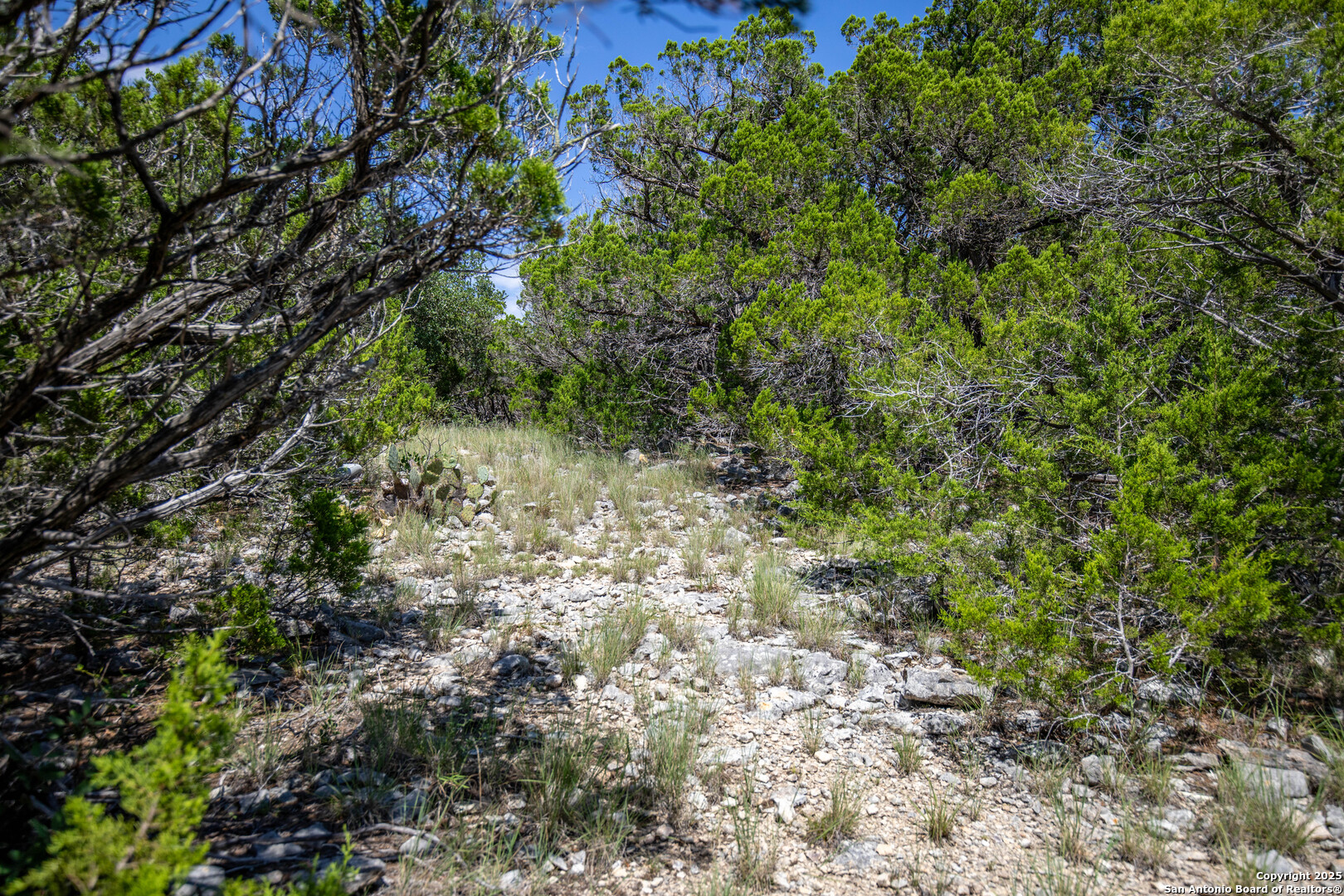 0 Lake View Trail Pipe Creek TX 78063
