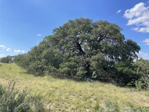 Tract 94 Winans Creek Ranch, 10.03 Acres Bandera TX 78003