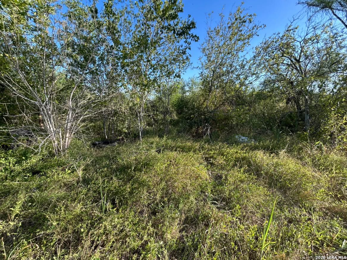 338 Proctor Boulevard San Antonio TX 78221