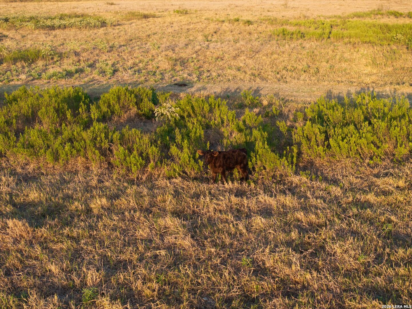 425 Seawillow Road Lockhart TX 78644