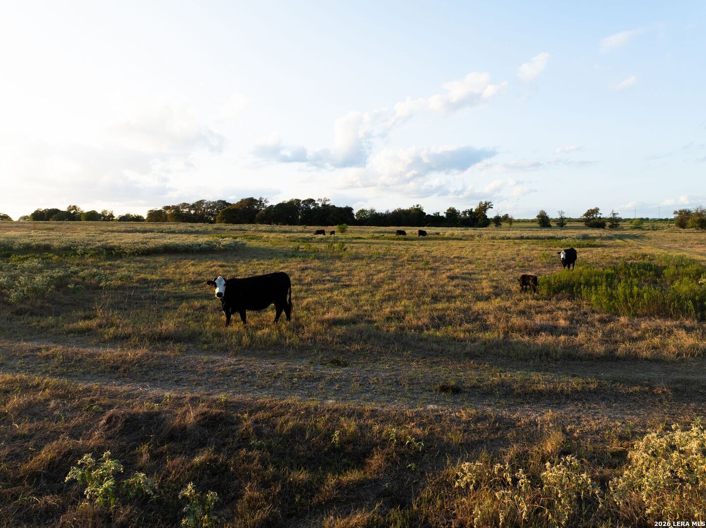 425 Seawillow Road Lockhart TX 78644
