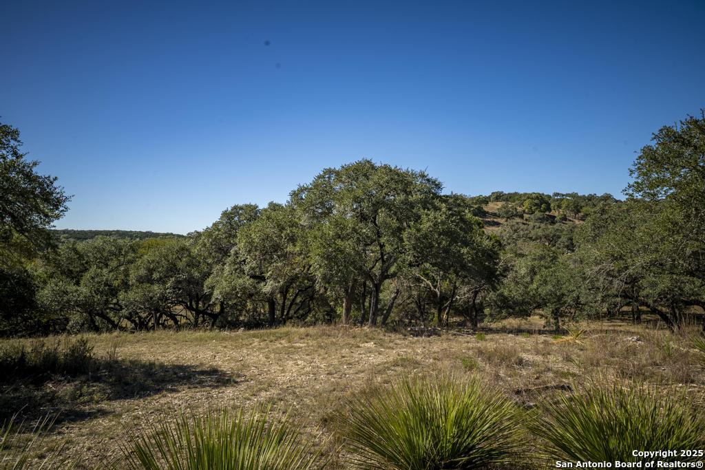 29008 Cibolo Cliff Bulverde TX 78163