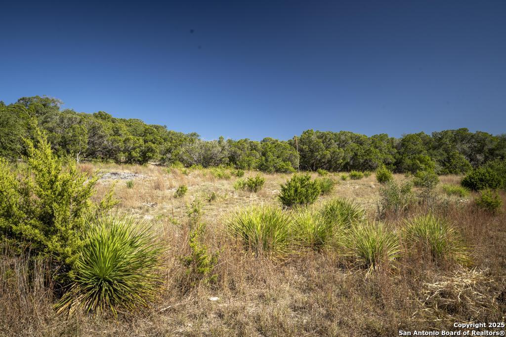 29008 Cibolo Cliff Bulverde TX 78163