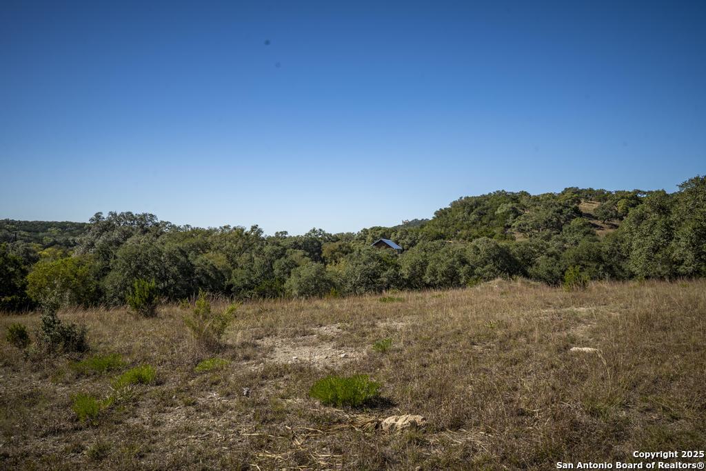 29008 Cibolo Cliff Bulverde TX 78163