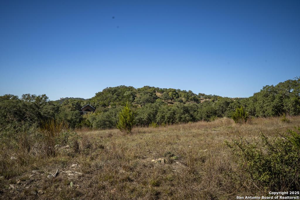 29008 Cibolo Cliff Bulverde TX 78163