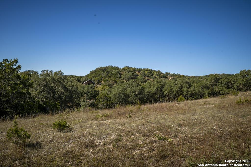 29008 Cibolo Cliff Bulverde TX 78163