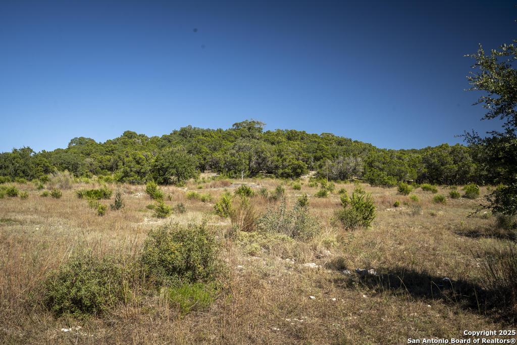 29008 Cibolo Cliff Bulverde TX 78163