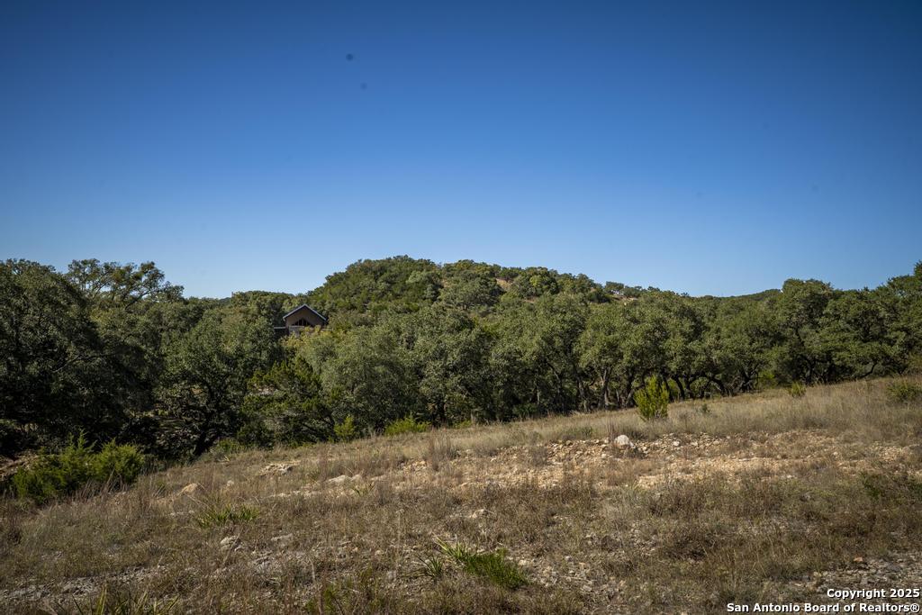 29008 Cibolo Cliff Bulverde TX 78163