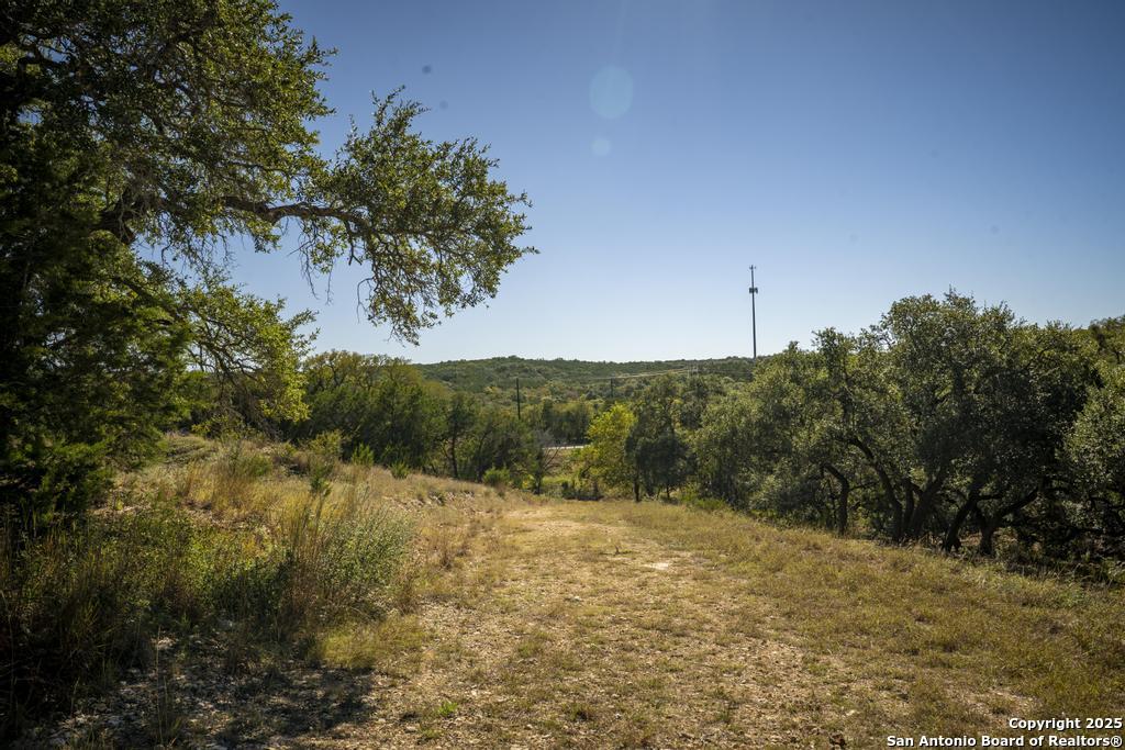 29008 Cibolo Cliff Bulverde TX 78163