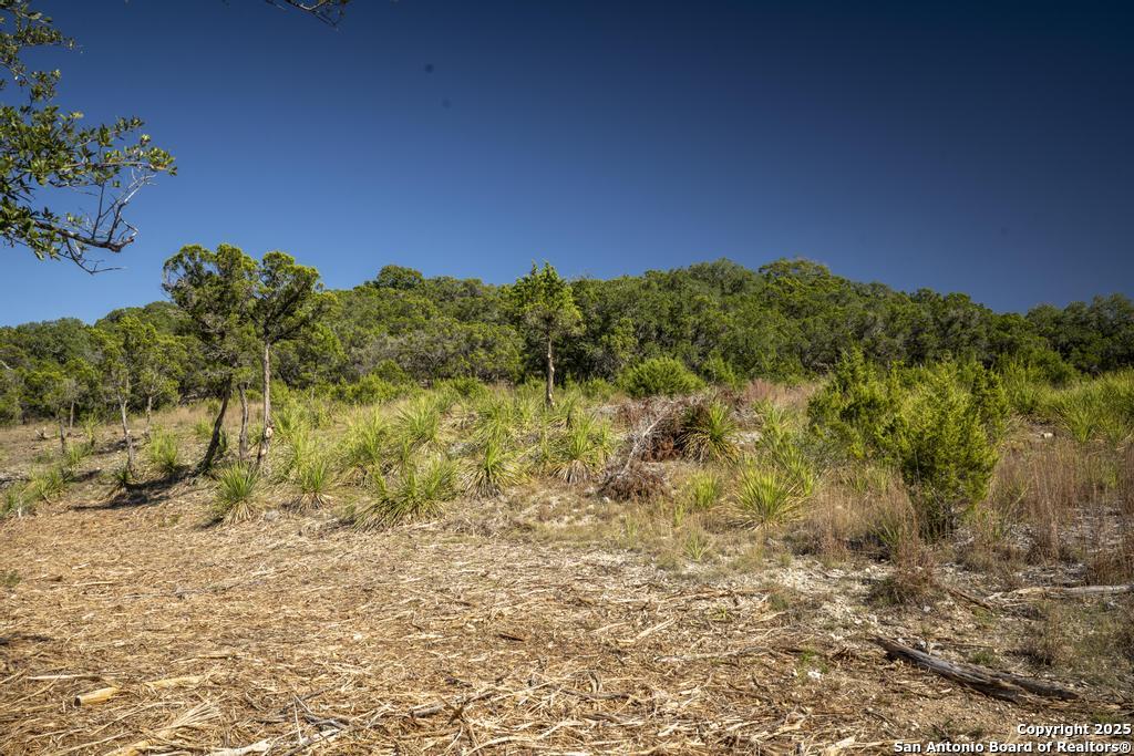 29008 Cibolo Cliff Bulverde TX 78163