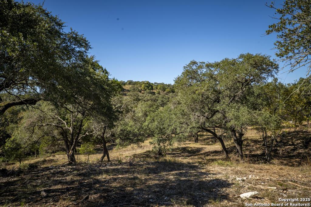 29008 Cibolo Cliff Bulverde TX 78163