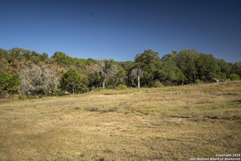29008 Cibolo Cliff Bulverde TX 78163