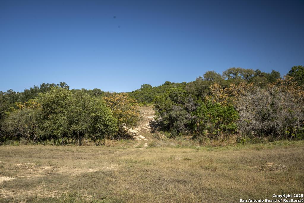 29008 Cibolo Cliff Bulverde TX 78163