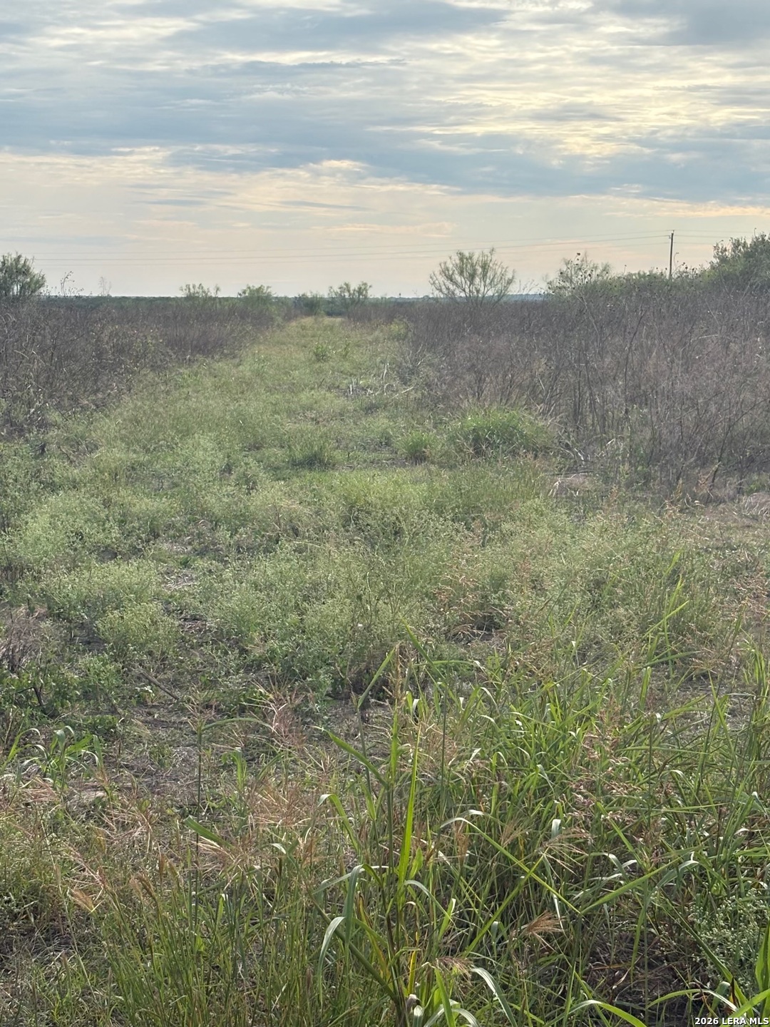 440 County Road 325 Jourdanton TX 78026