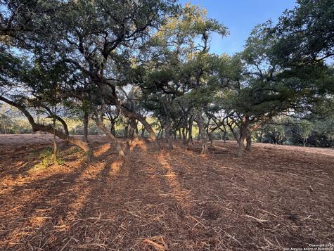 1720 Skyline Drive Canyon Lake TX 78666