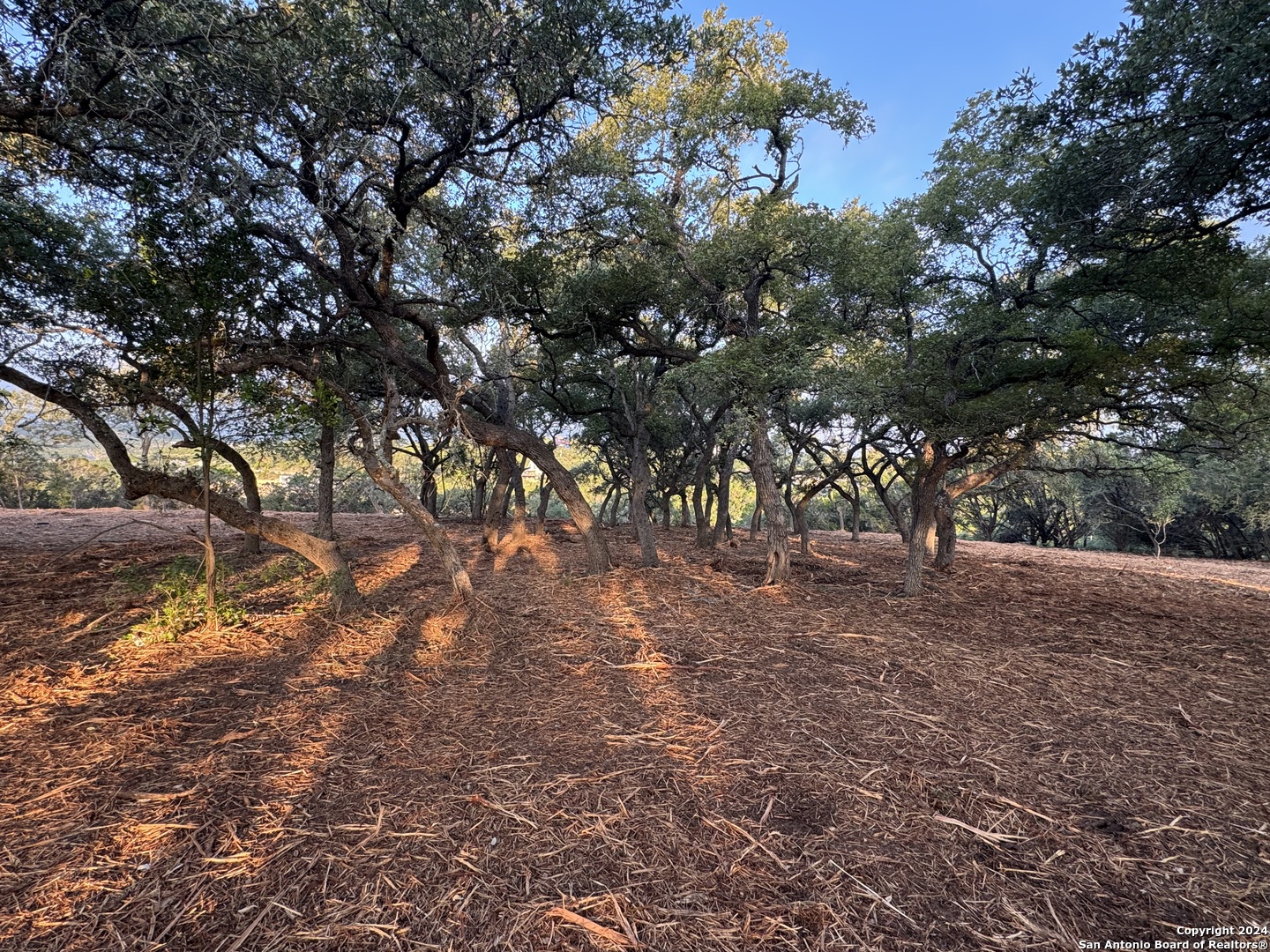 1720 Skyline Drive Canyon Lake TX 78666