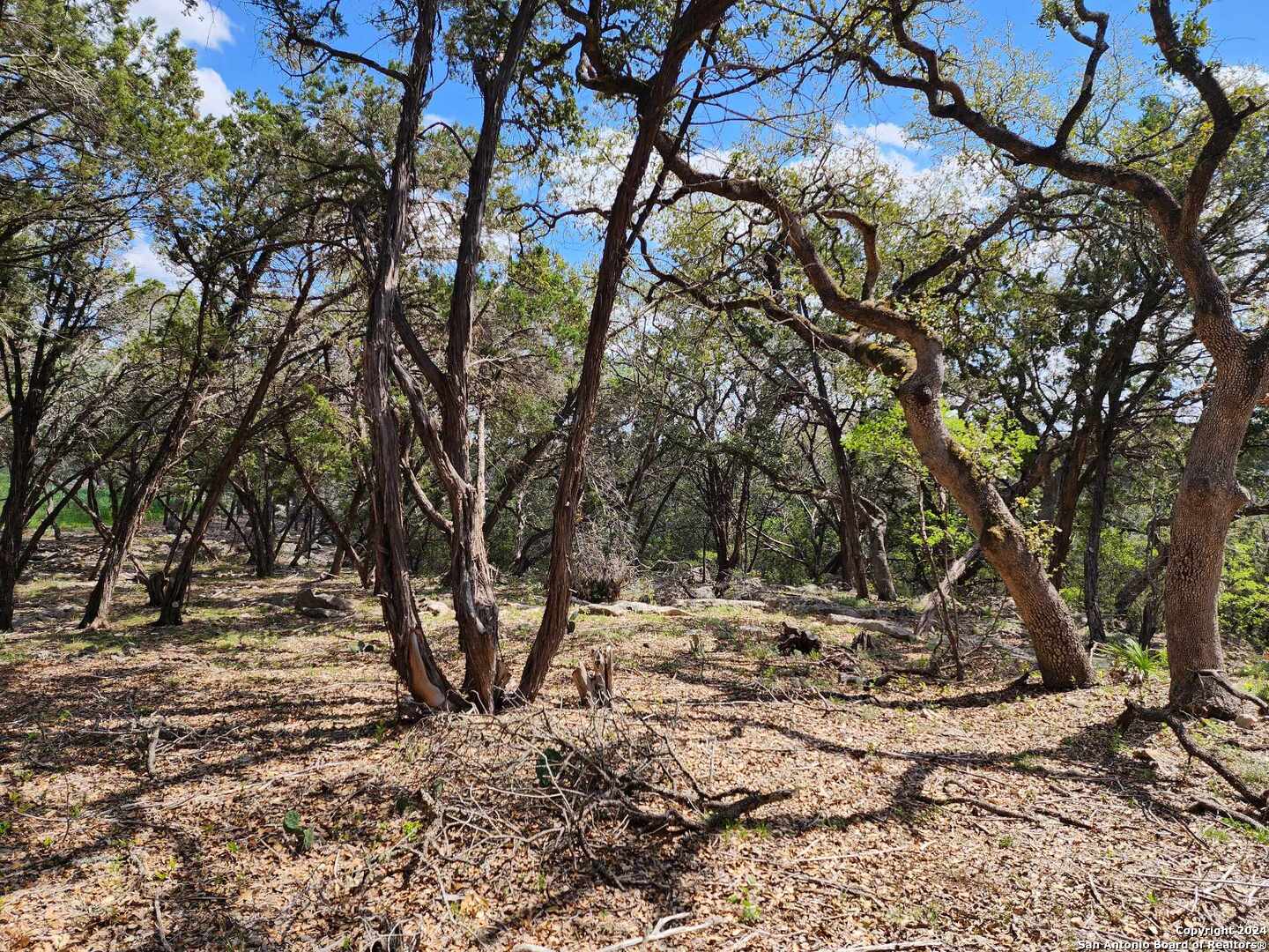 Lot 18 Forest Lake Drive Spring Branch TX 78070