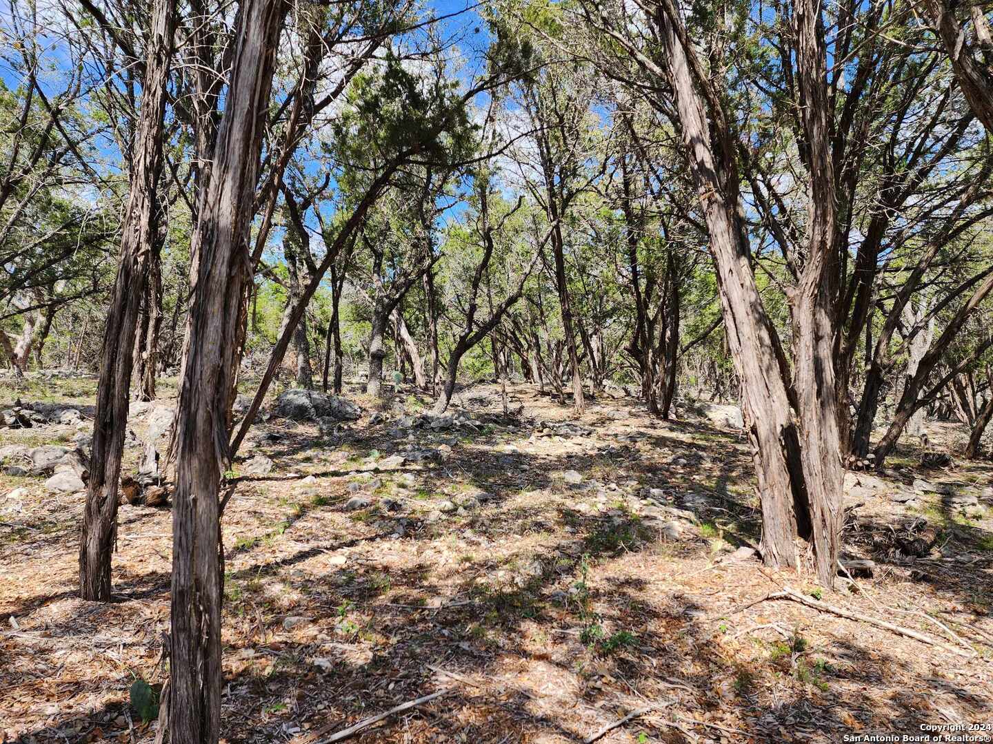 Lot 18 Forest Lake Drive Spring Branch TX 78070