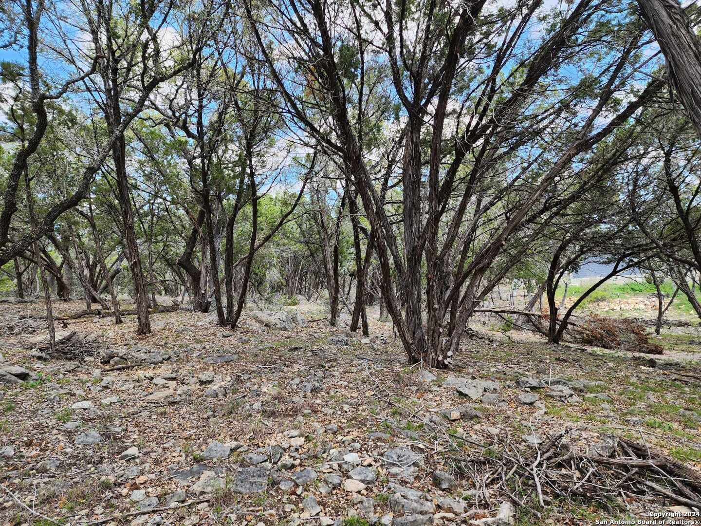 Lot 18 Forest Lake Drive Spring Branch TX 78070