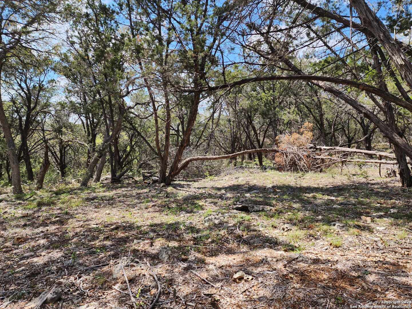 Lot 18 Forest Lake Drive Spring Branch TX 78070