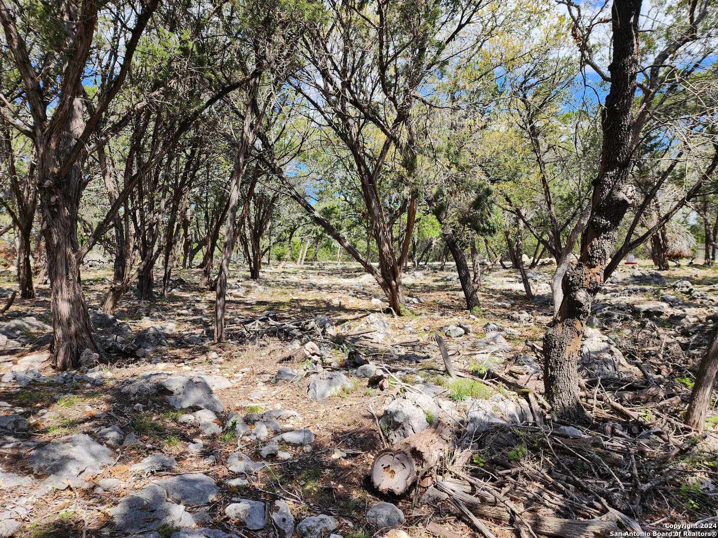 Lot 18 Forest Lake Drive Spring Branch TX 78070