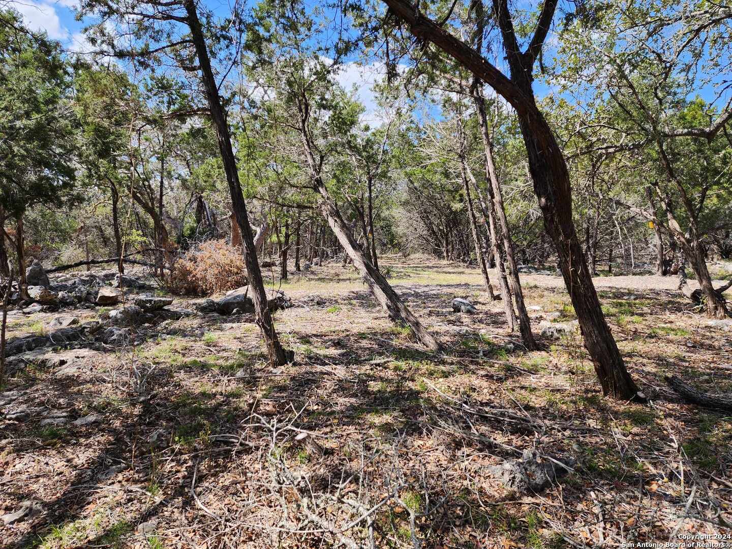 Lot 18 Forest Lake Drive Spring Branch TX 78070