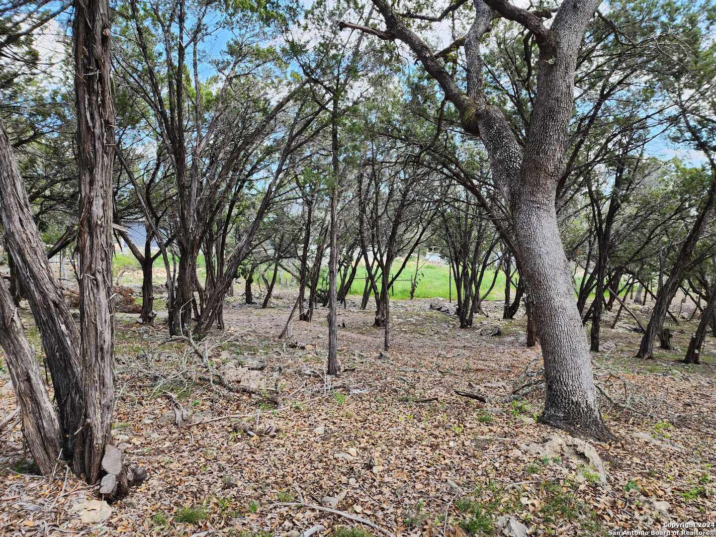 Lot 18 Forest Lake Drive Spring Branch TX 78070
